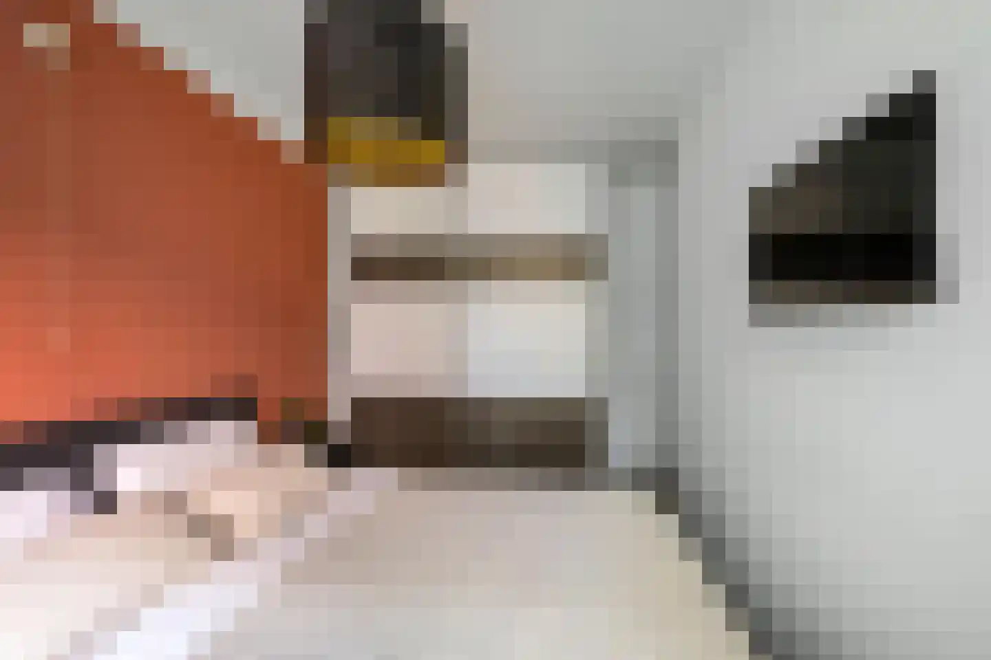 Gijzelaarslaan 18 Groningen thumbnail 23