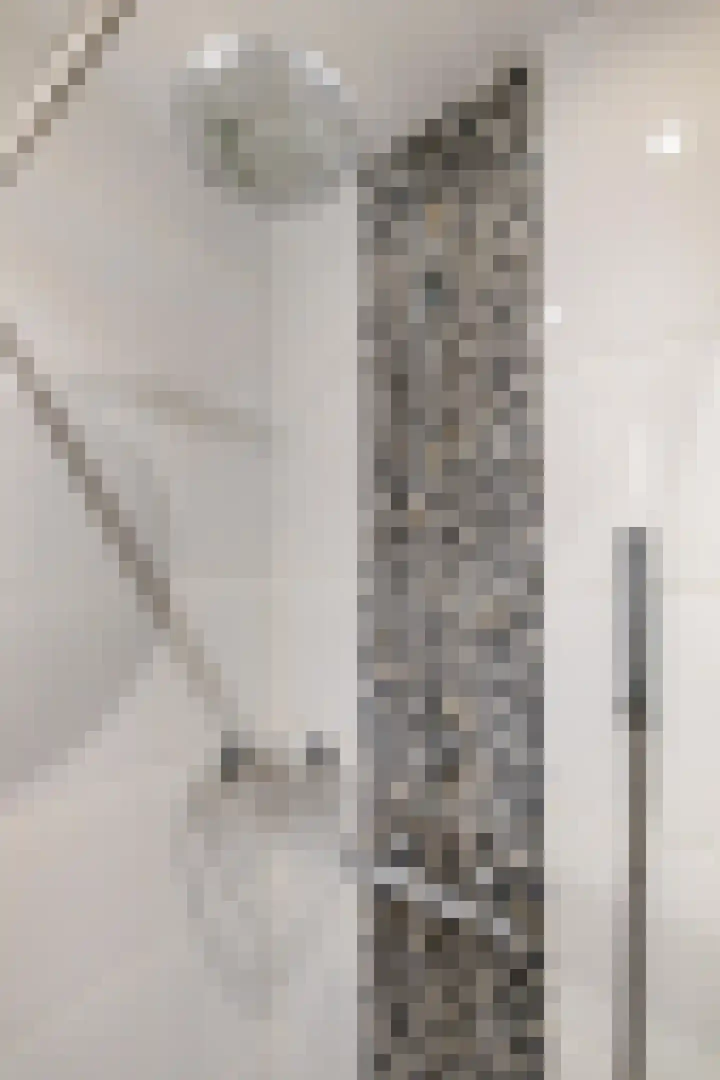 Gijzelaarslaan 18 Groningen thumbnail 30