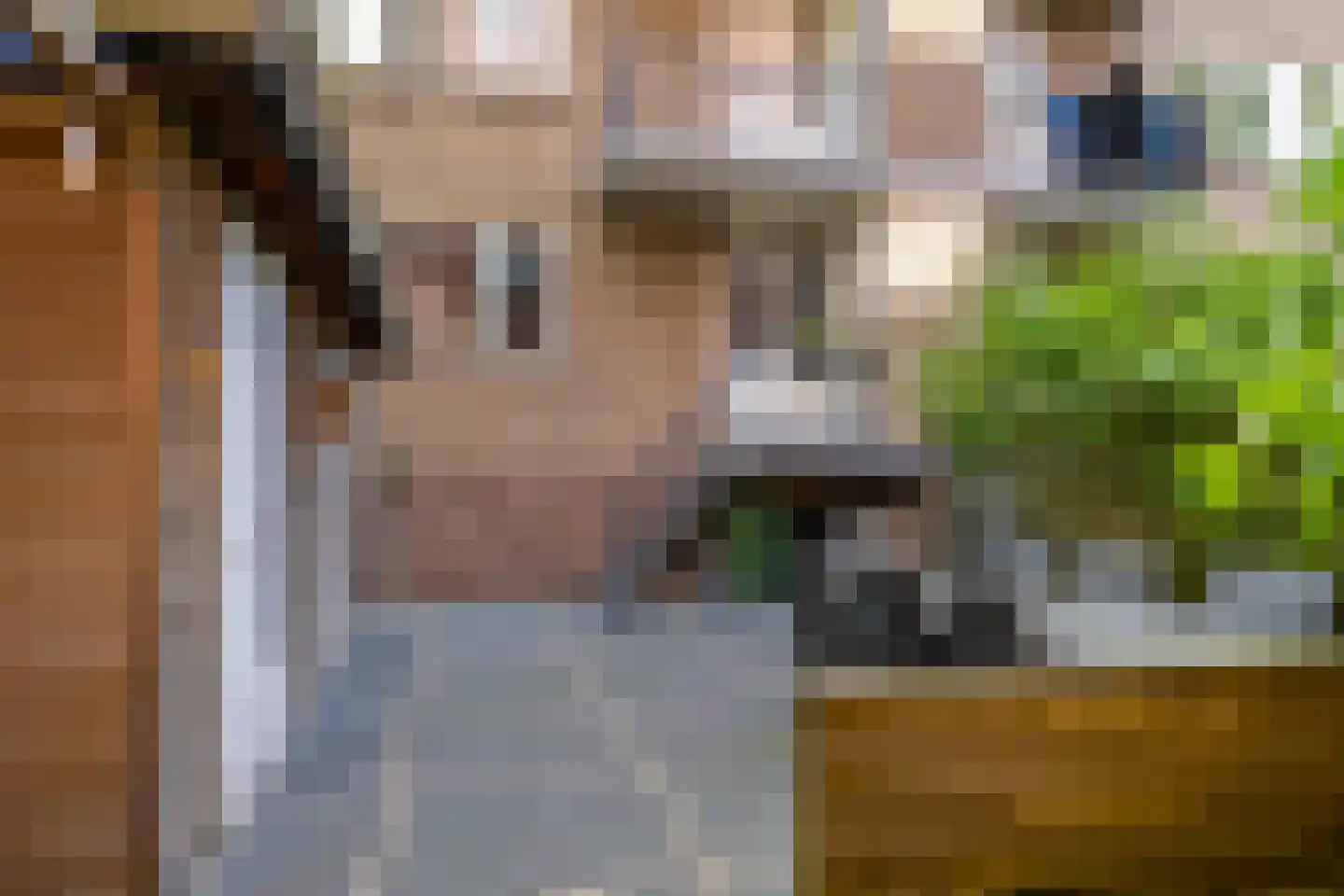 Gijzelaarslaan 18 Groningen thumbnail 32