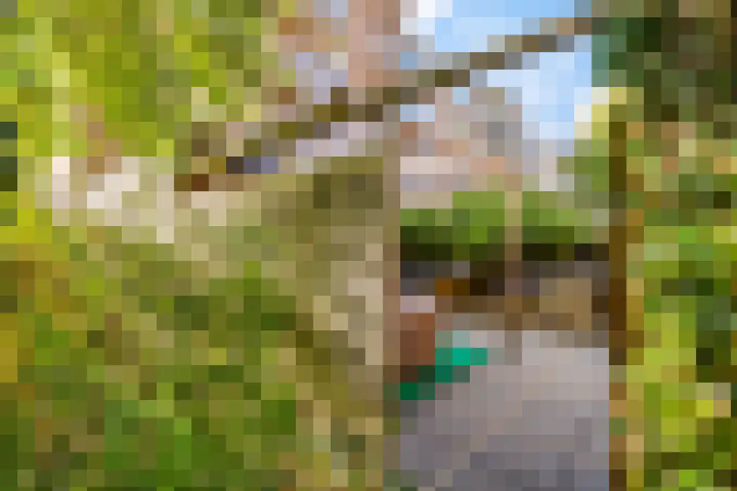 Gijzelaarslaan 18 Groningen thumbnail 35