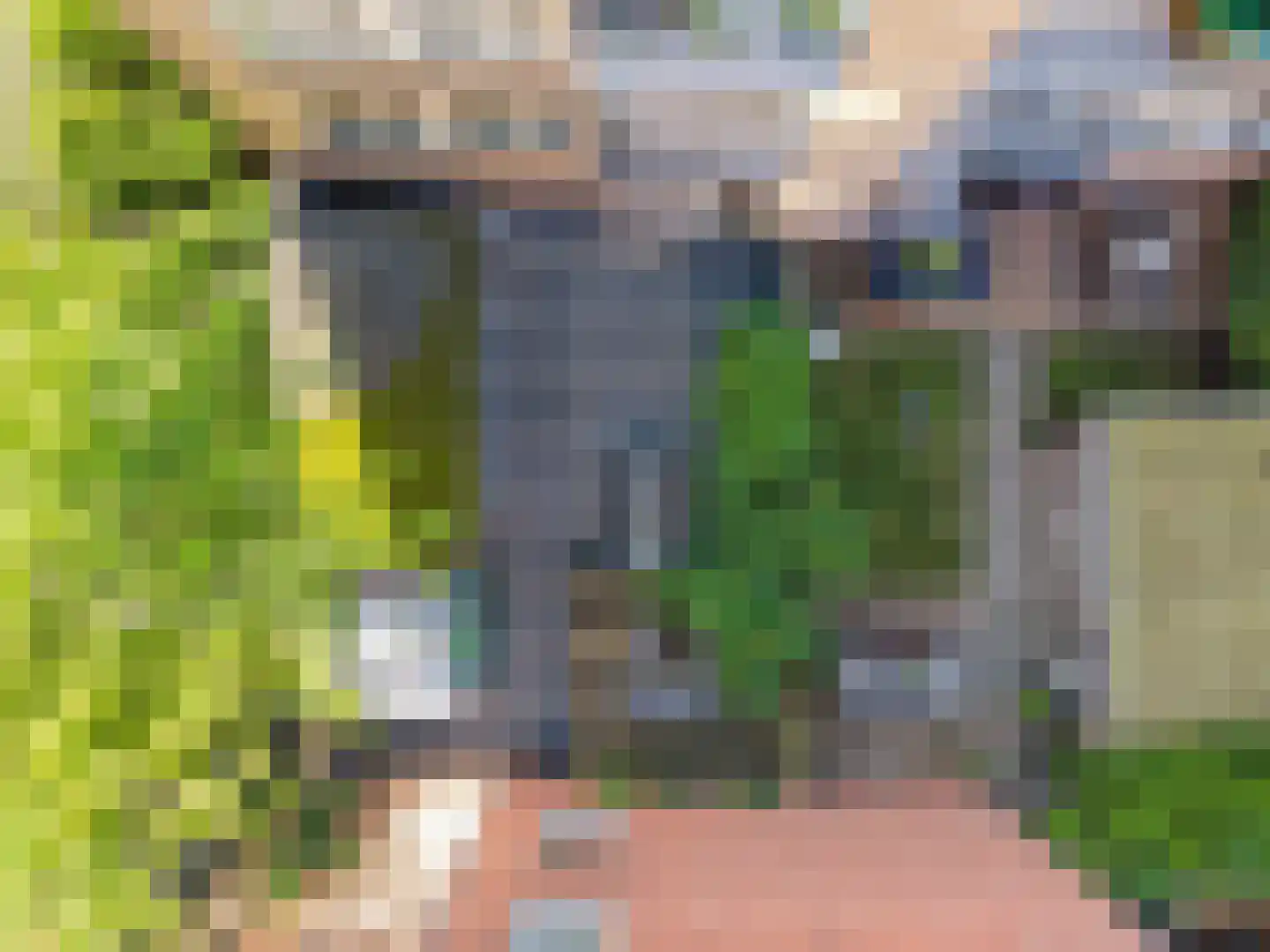 Gijzelaarslaan 18 Groningen thumbnail 39