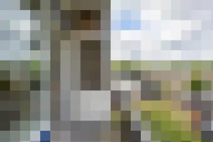 Gijzelaarslaan 30 Groningen thumbnail 14