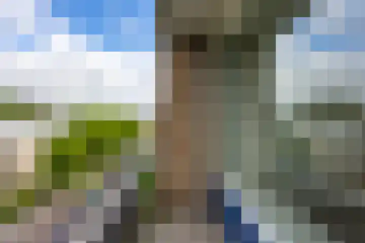 Gijzelaarslaan 30 Groningen thumbnail 15