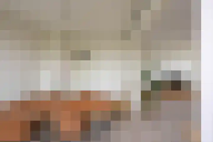 Gijzelaarslaan 30 Groningen thumbnail 16