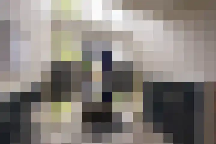 Gijzelaarslaan 30 Groningen thumbnail 5