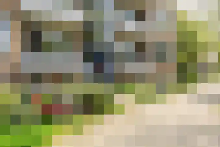 Gijzelaarslaan 32 Groningen thumbnail 10