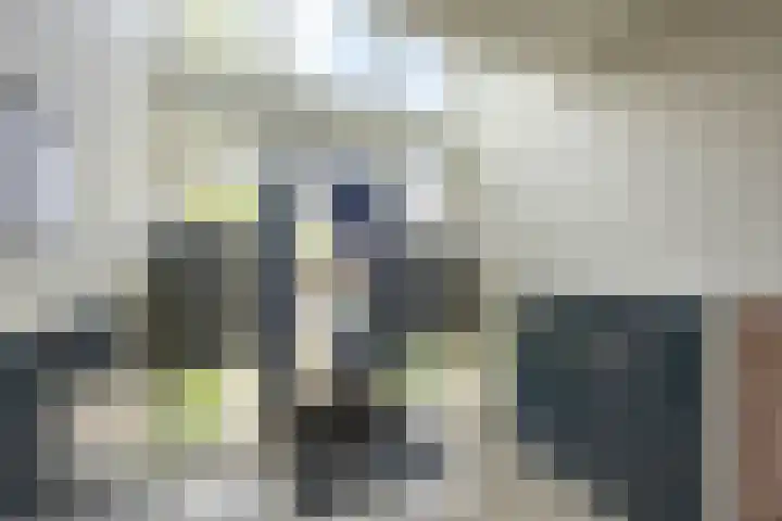 Gijzelaarslaan 32 Groningen thumbnail 13