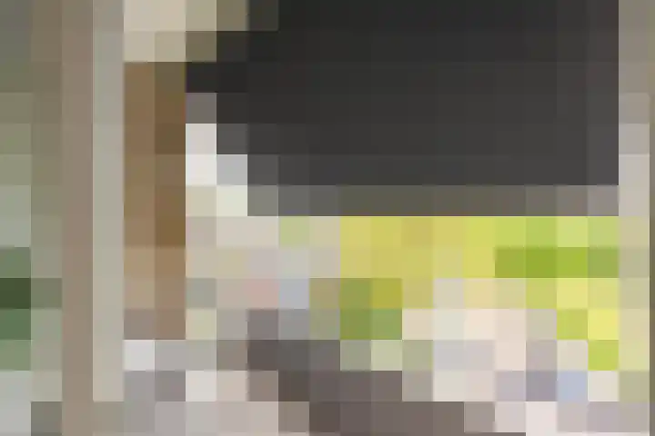 Gijzelaarslaan 32 Groningen thumbnail 29