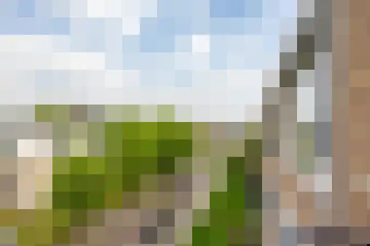Gijzelaarslaan 32 Groningen thumbnail 31