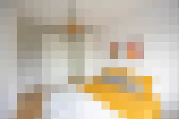 Gijzelaarslaan 32 Groningen thumbnail 34