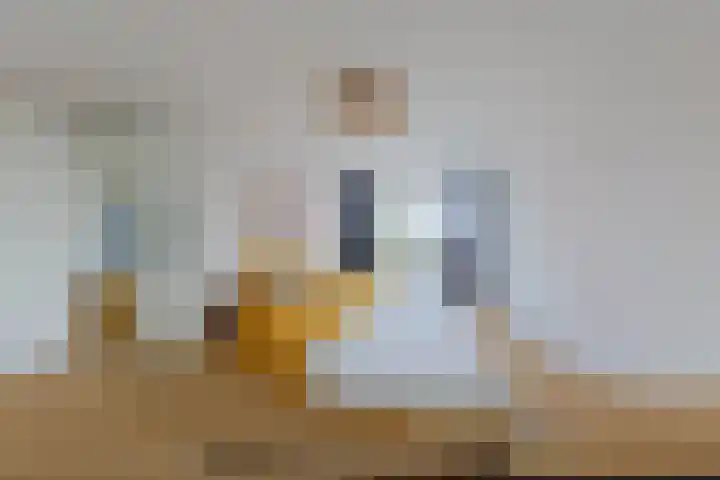 Gijzelaarslaan 32 Groningen thumbnail 54