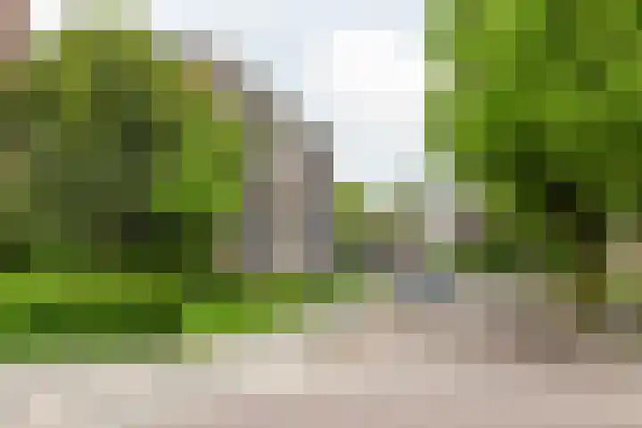 Gijzelaarslaan 32 Groningen thumbnail 8