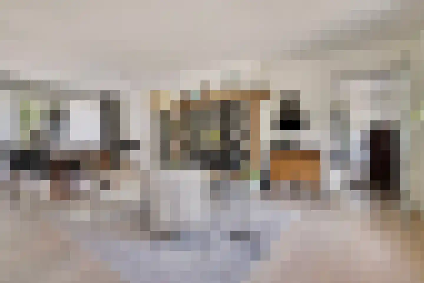 Gijzelsestraat 20 Biezenmortel thumbnail 12