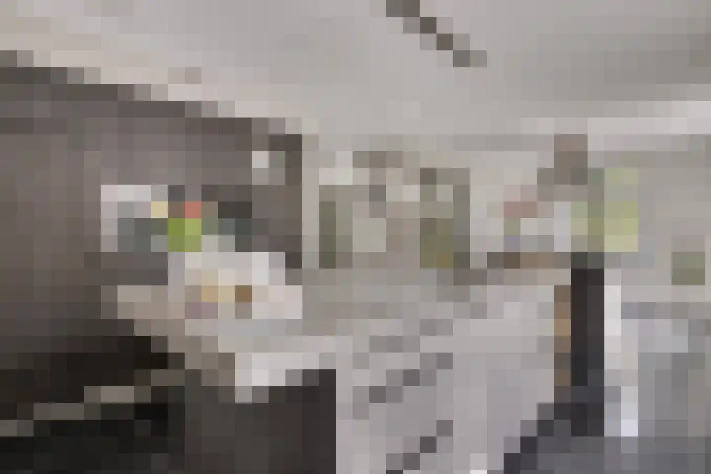 Gijzelsestraat 20 Biezenmortel thumbnail 14
