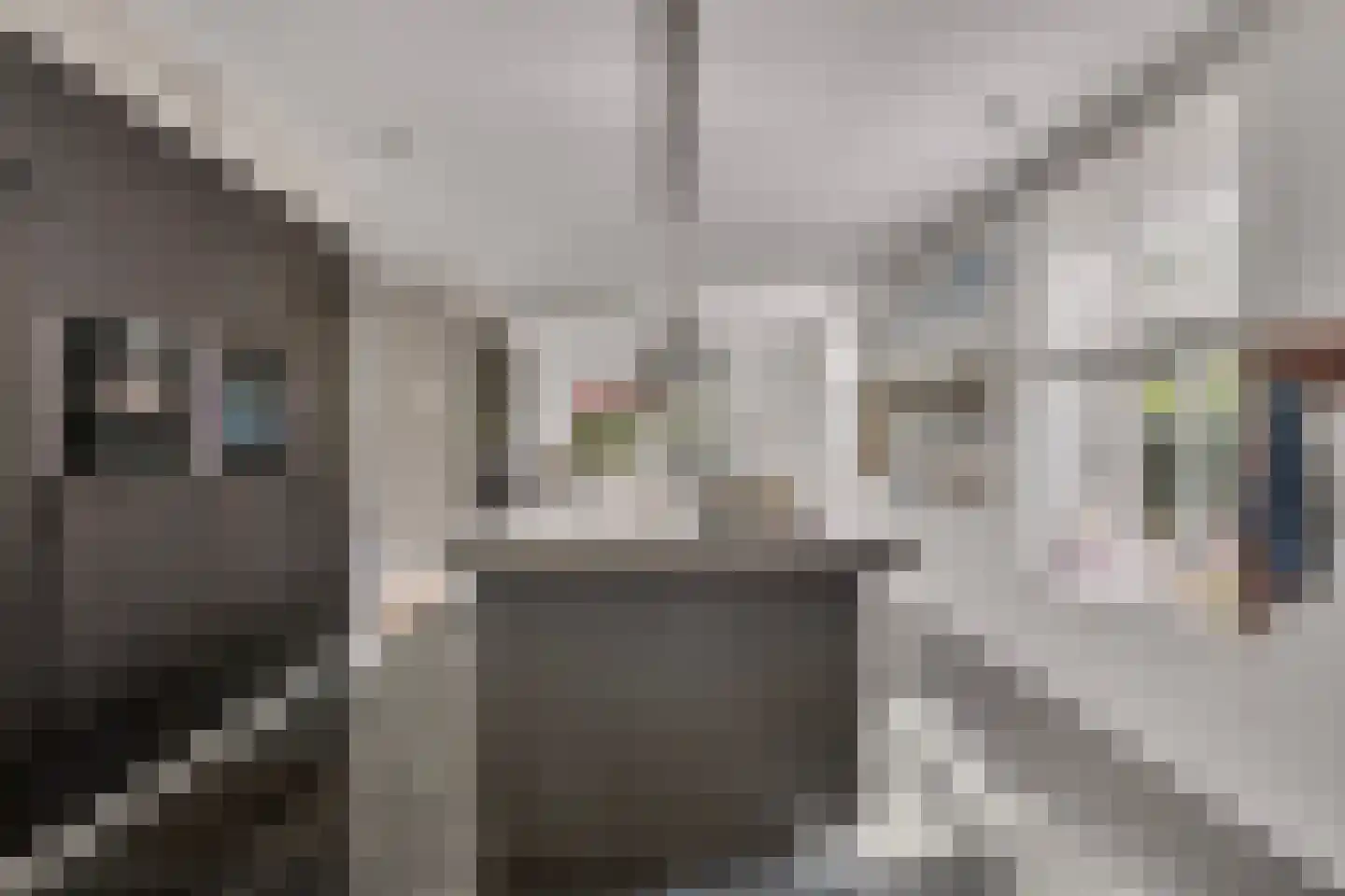 Gijzelsestraat 20 Biezenmortel thumbnail 15
