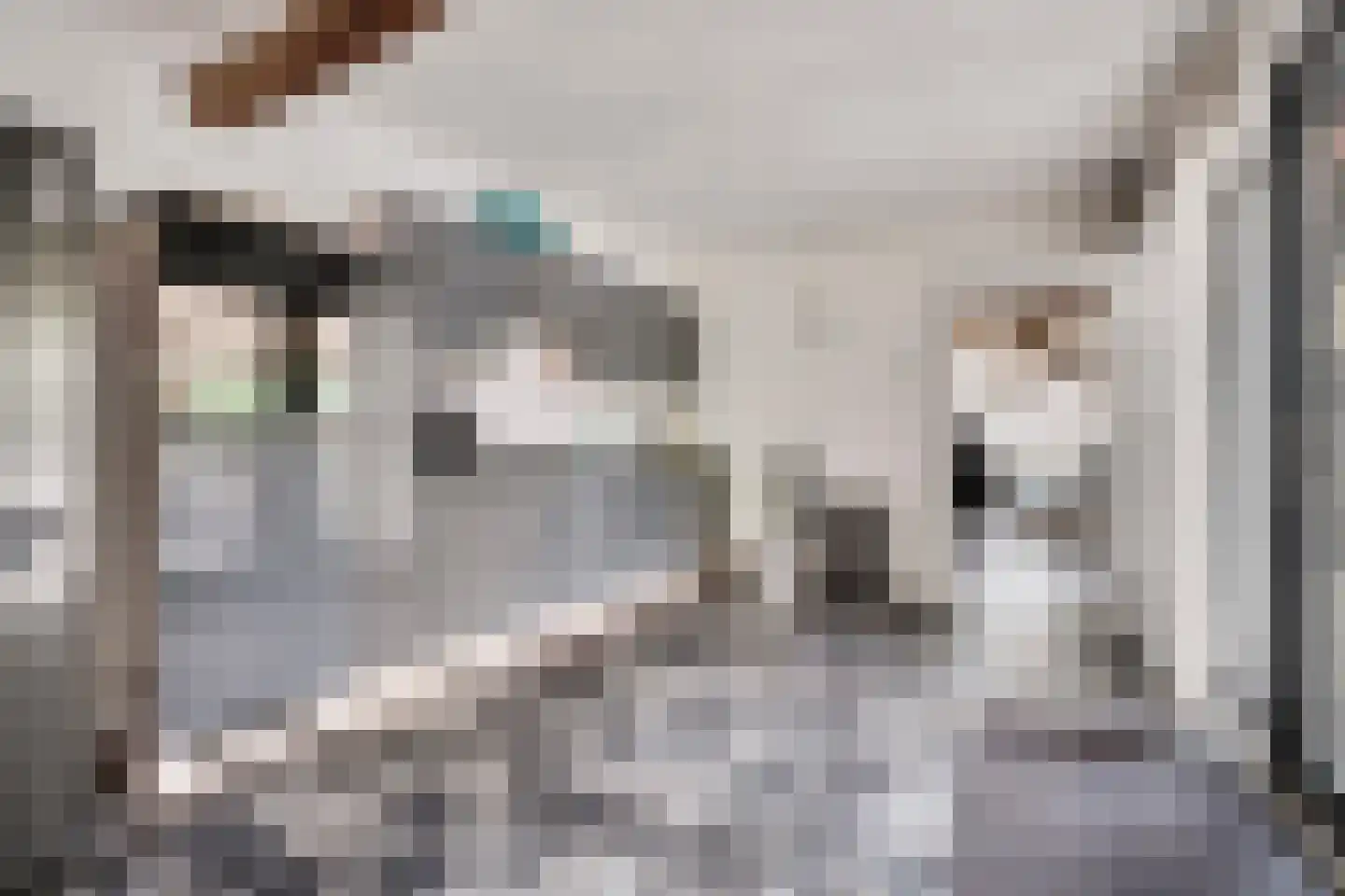 Gijzelsestraat 20 Biezenmortel thumbnail 24