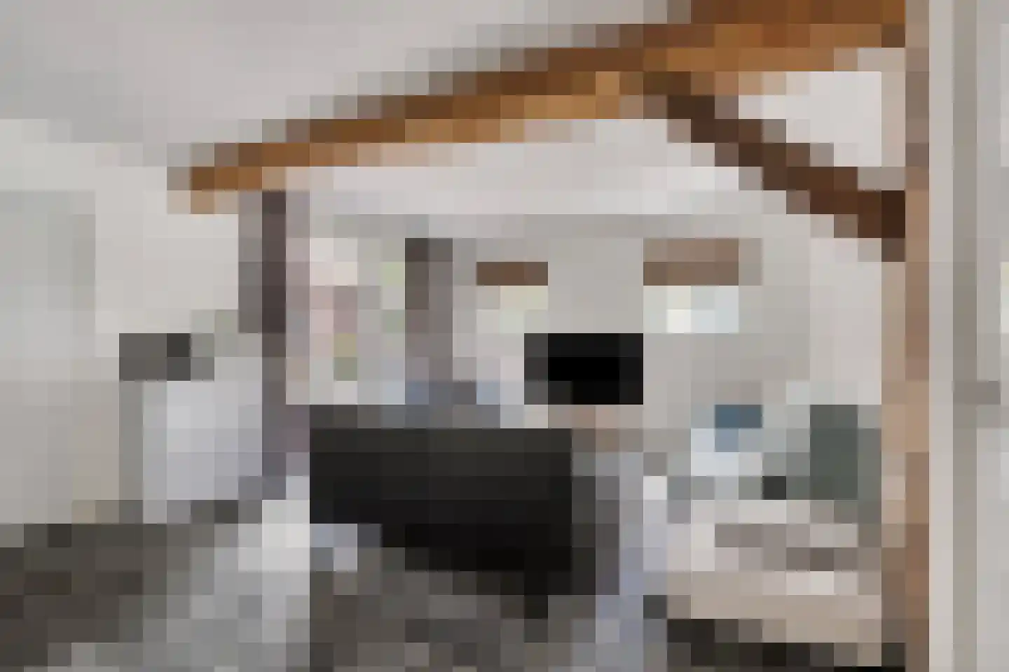 Gijzelsestraat 20 Biezenmortel thumbnail 25