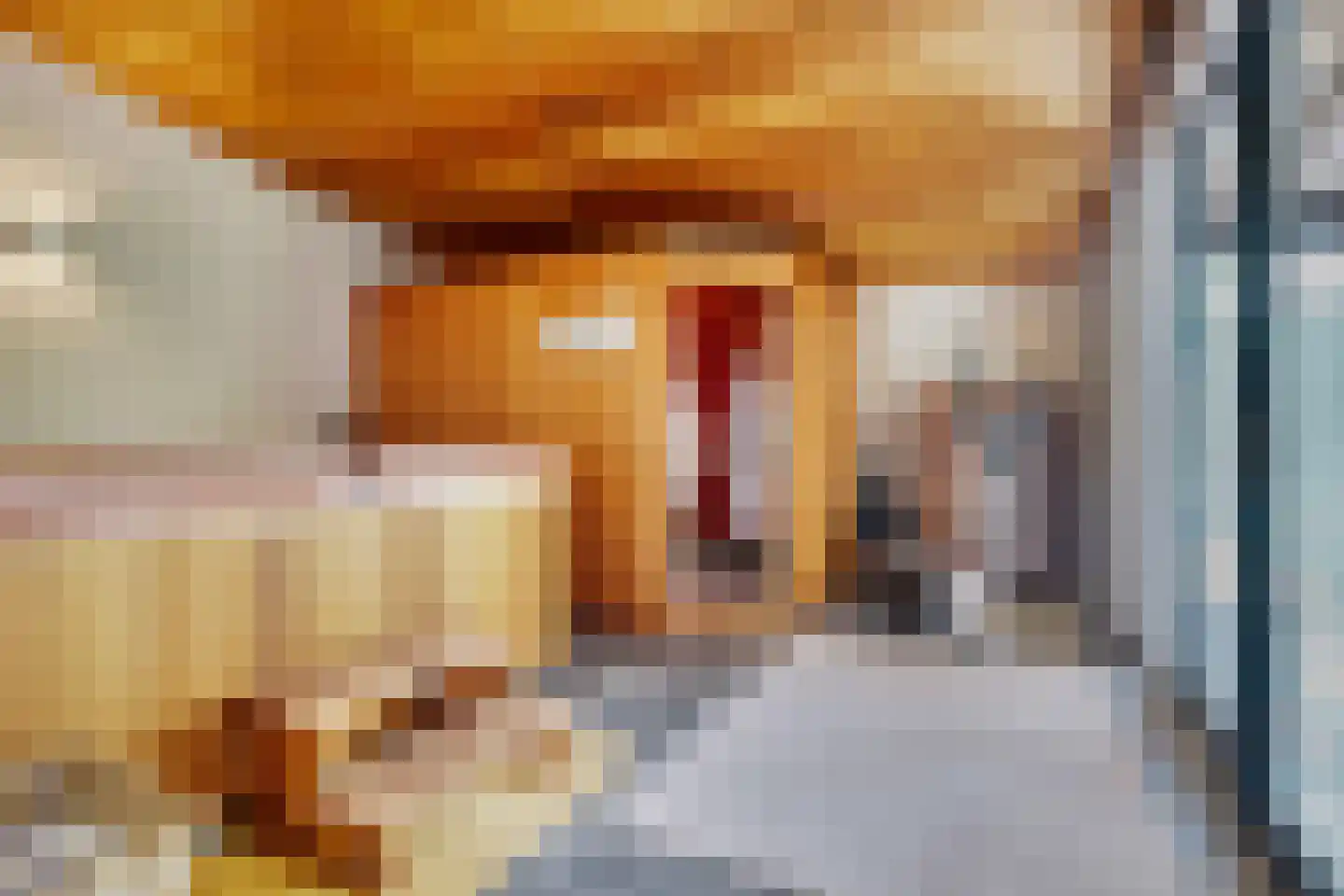 Gijzelsestraat 20 Biezenmortel thumbnail 26