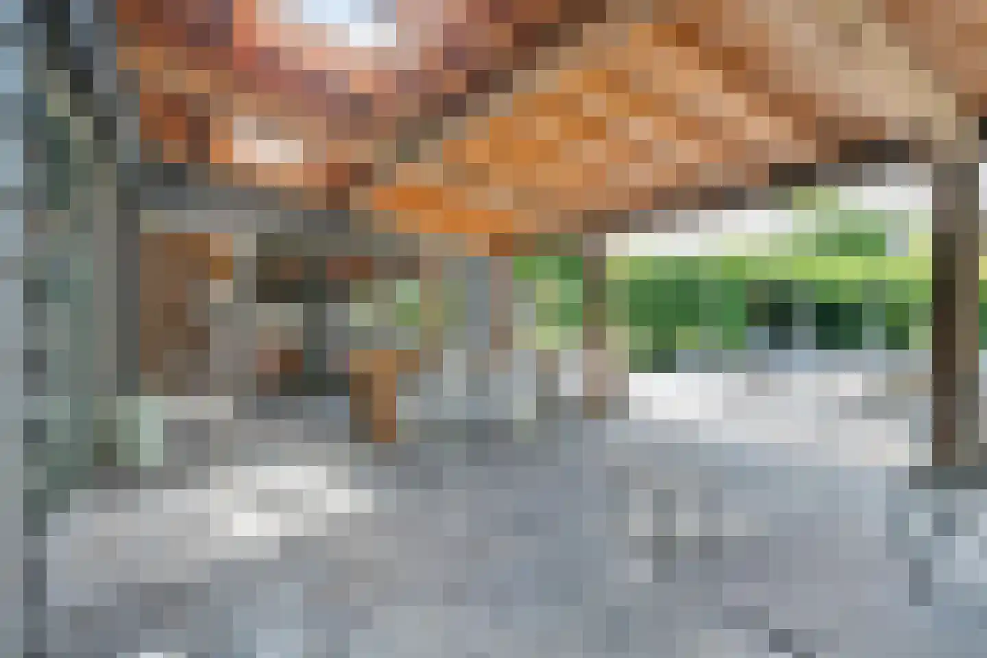 Gijzelsestraat 20 Biezenmortel thumbnail 28
