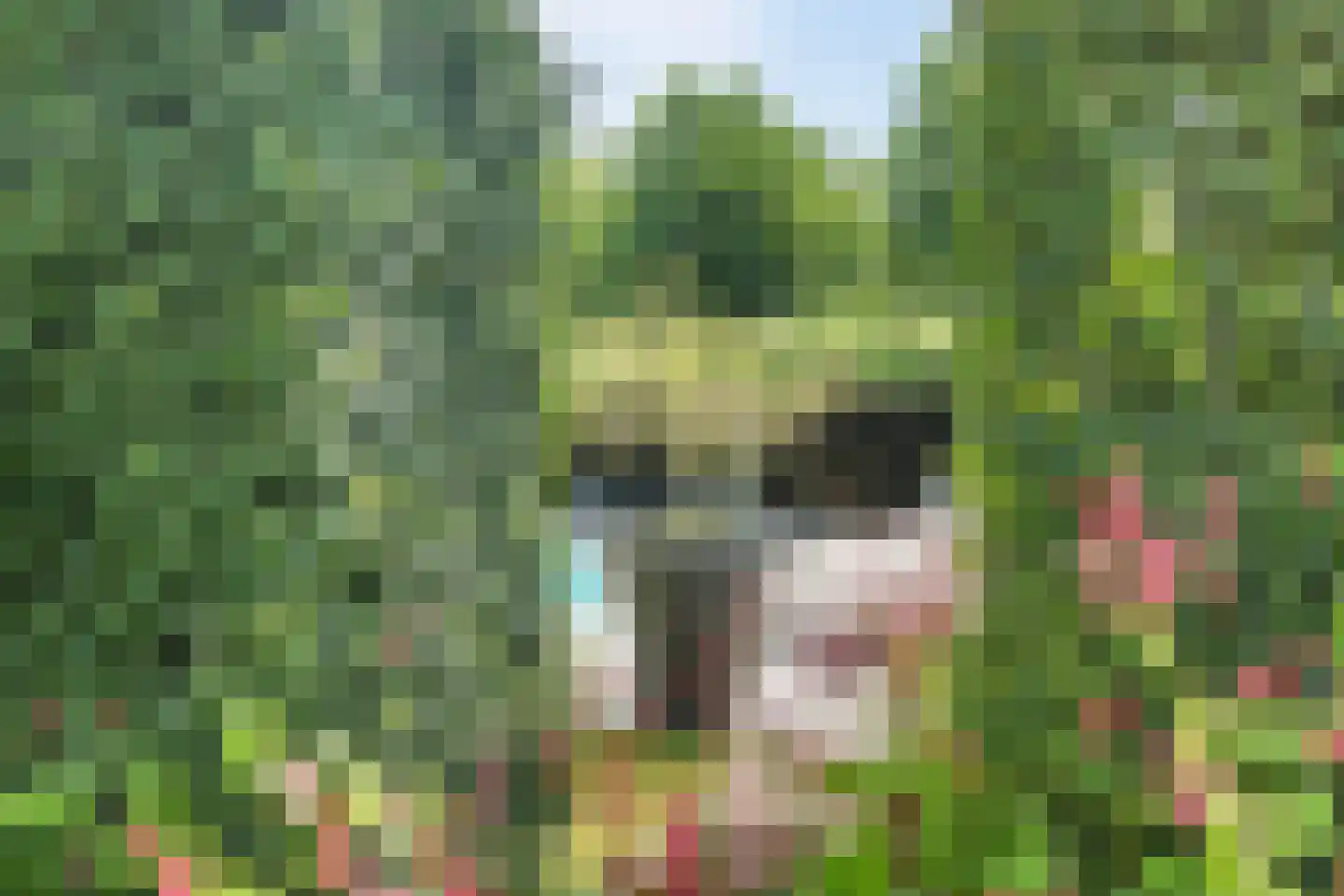 Gijzelsestraat 20 Biezenmortel thumbnail 34