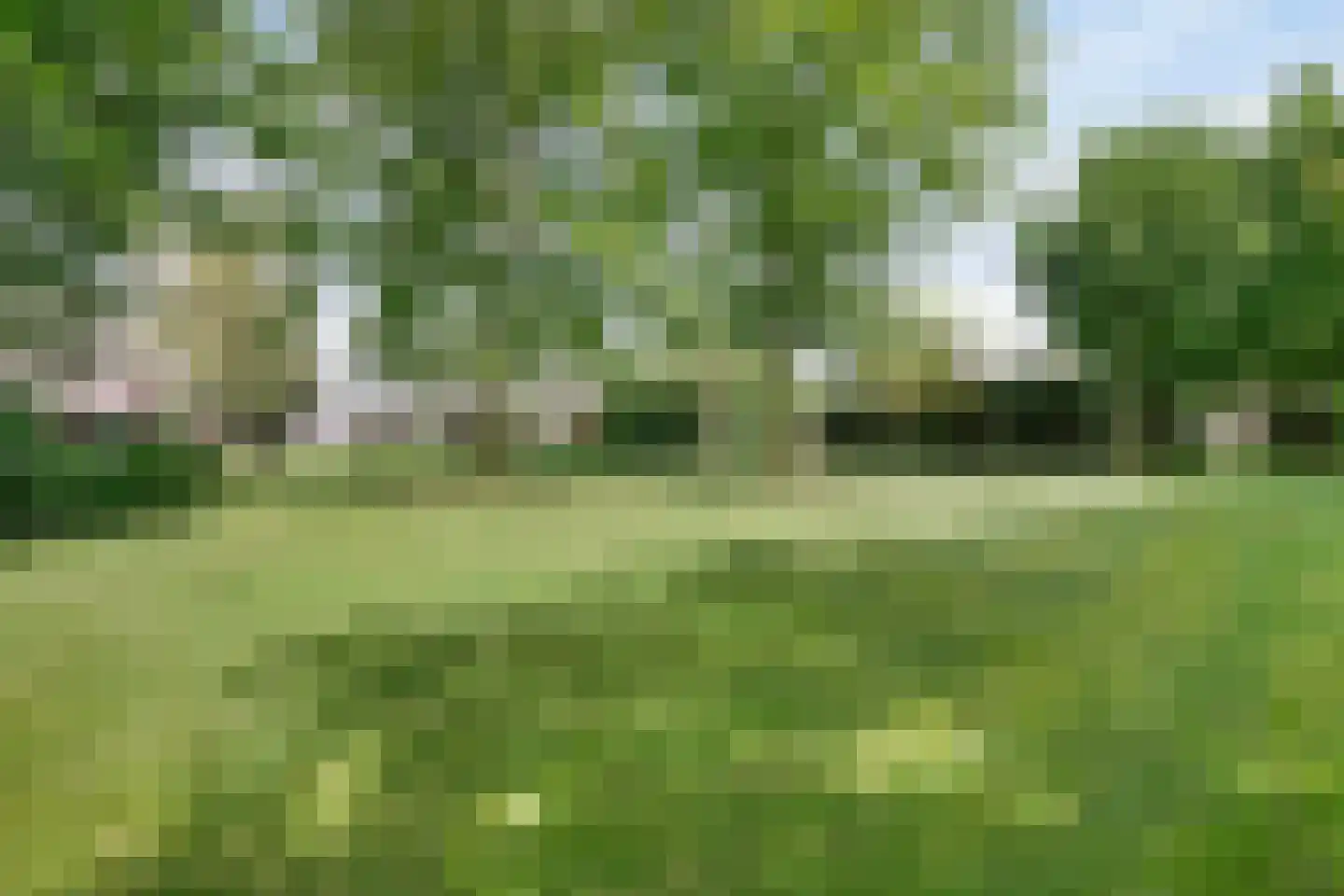 Gijzelsestraat 20 Biezenmortel thumbnail 35