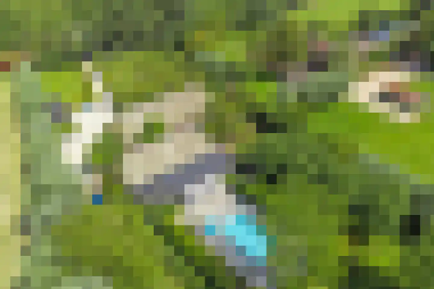 Gijzelsestraat 20 Biezenmortel thumbnail 4