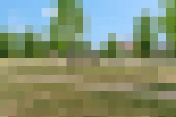 Gilbert Bécaudstraat 19 Lent thumbnail 4