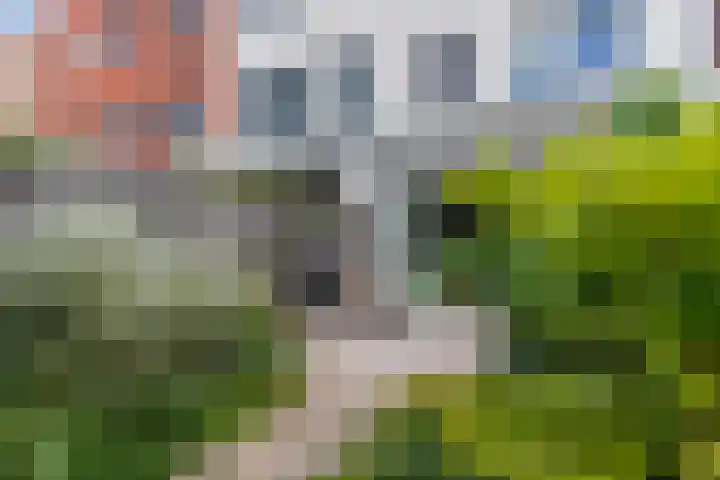 Gilbert Bécaudstraat 19 Lent thumbnail 45