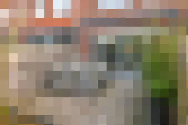 Gilbert Bécaudstraat 37 Lent thumbnail 35