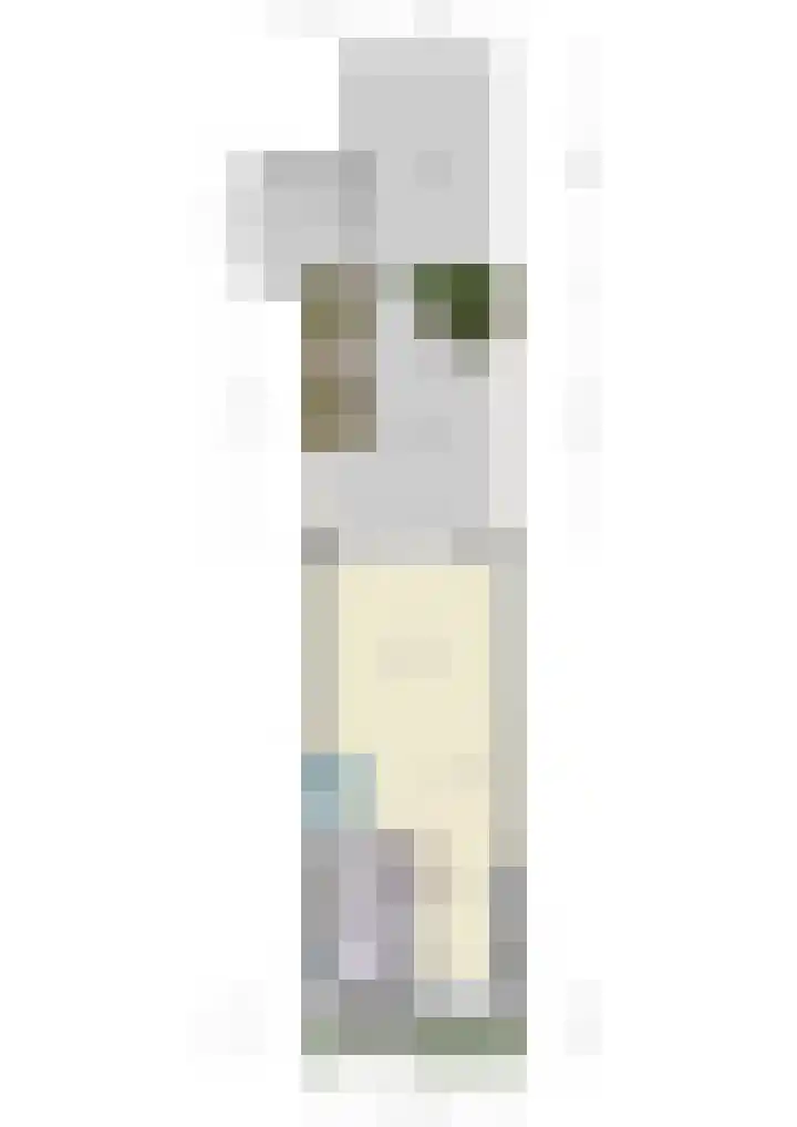 Gilbert Bécaudstraat 37 Lent thumbnail 82