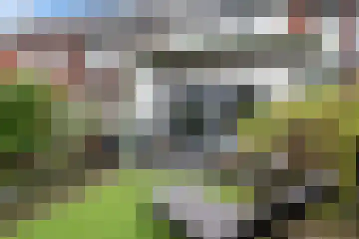 Gildcamp 23 Ewijk thumbnail 34