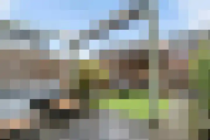 Gildcamp 23 Ewijk thumbnail 36