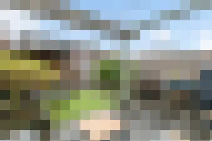 Gildcamp 23 Ewijk thumbnail 37