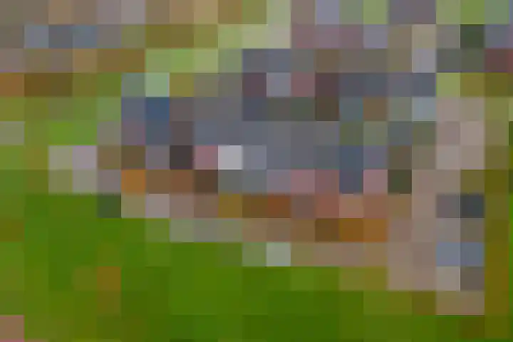 Gildcamp 23 Ewijk thumbnail 40