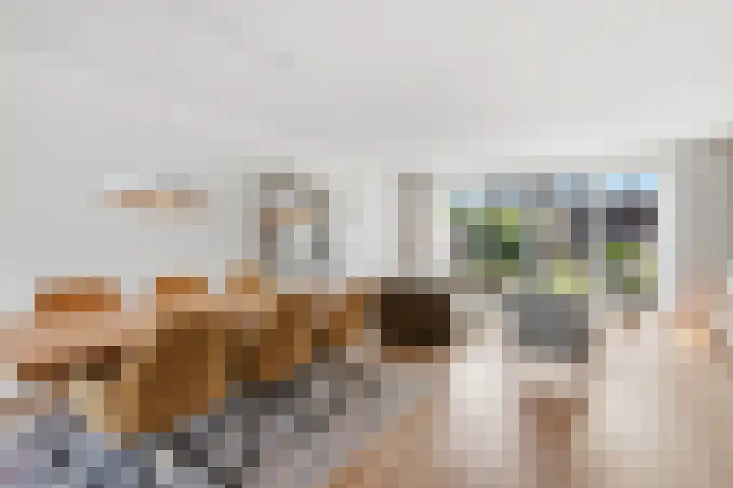Gildcamp 5 Ewijk thumbnail 8