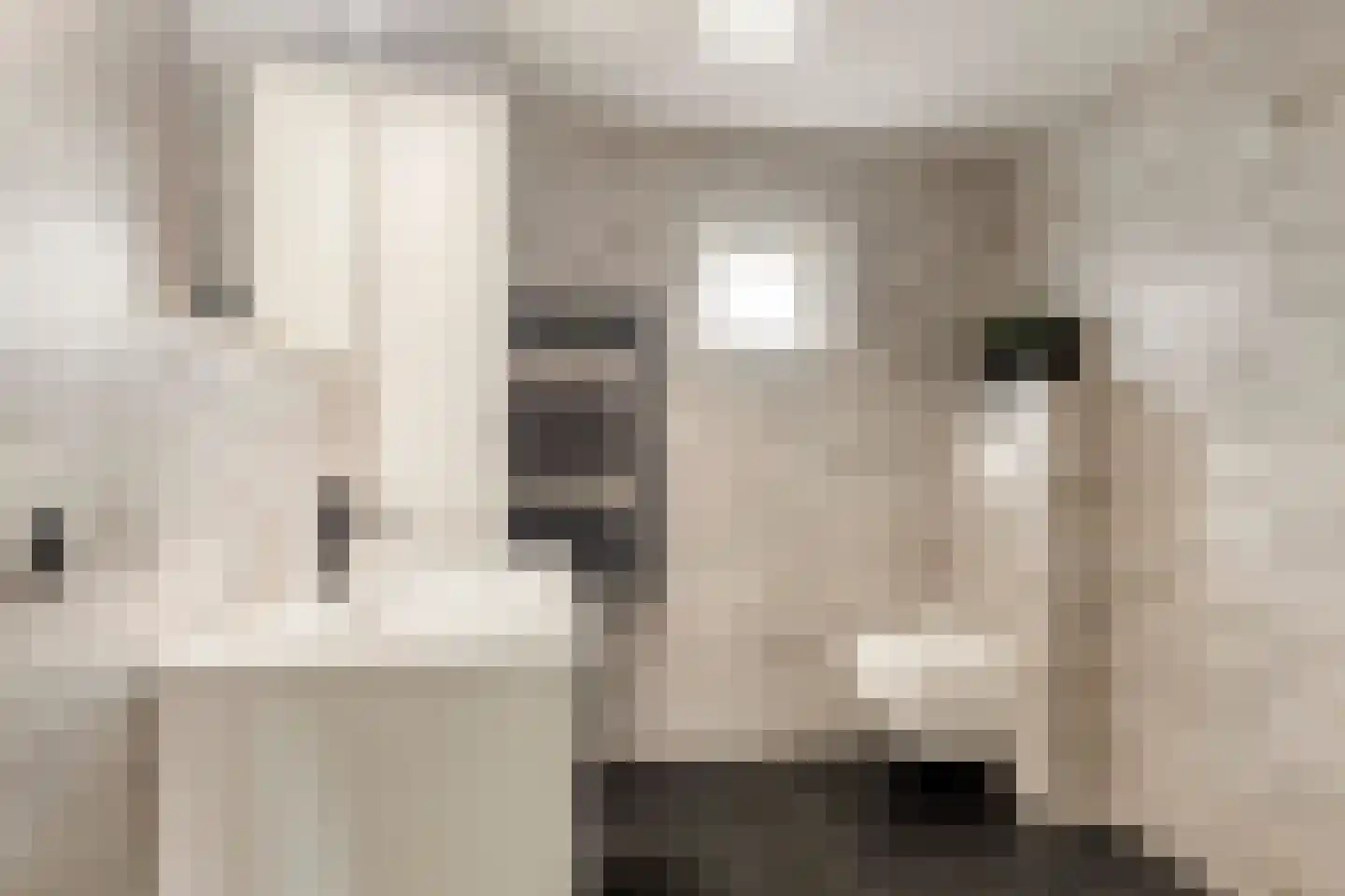 Gildebongerd 109 Zeddam thumbnail 30