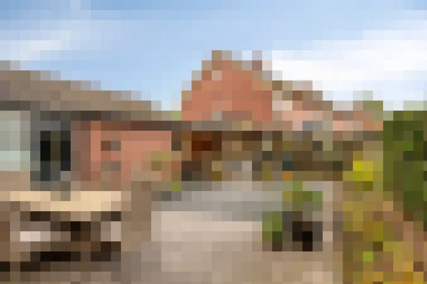Gildebongerd 109 Zeddam thumbnail 36
