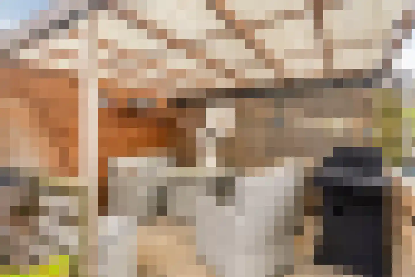 Gildebongerd 109 Zeddam thumbnail 38