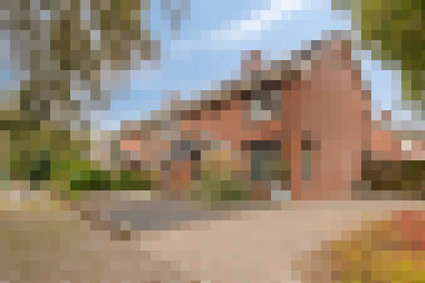 Gildebongerd 109 Zeddam thumbnail 7