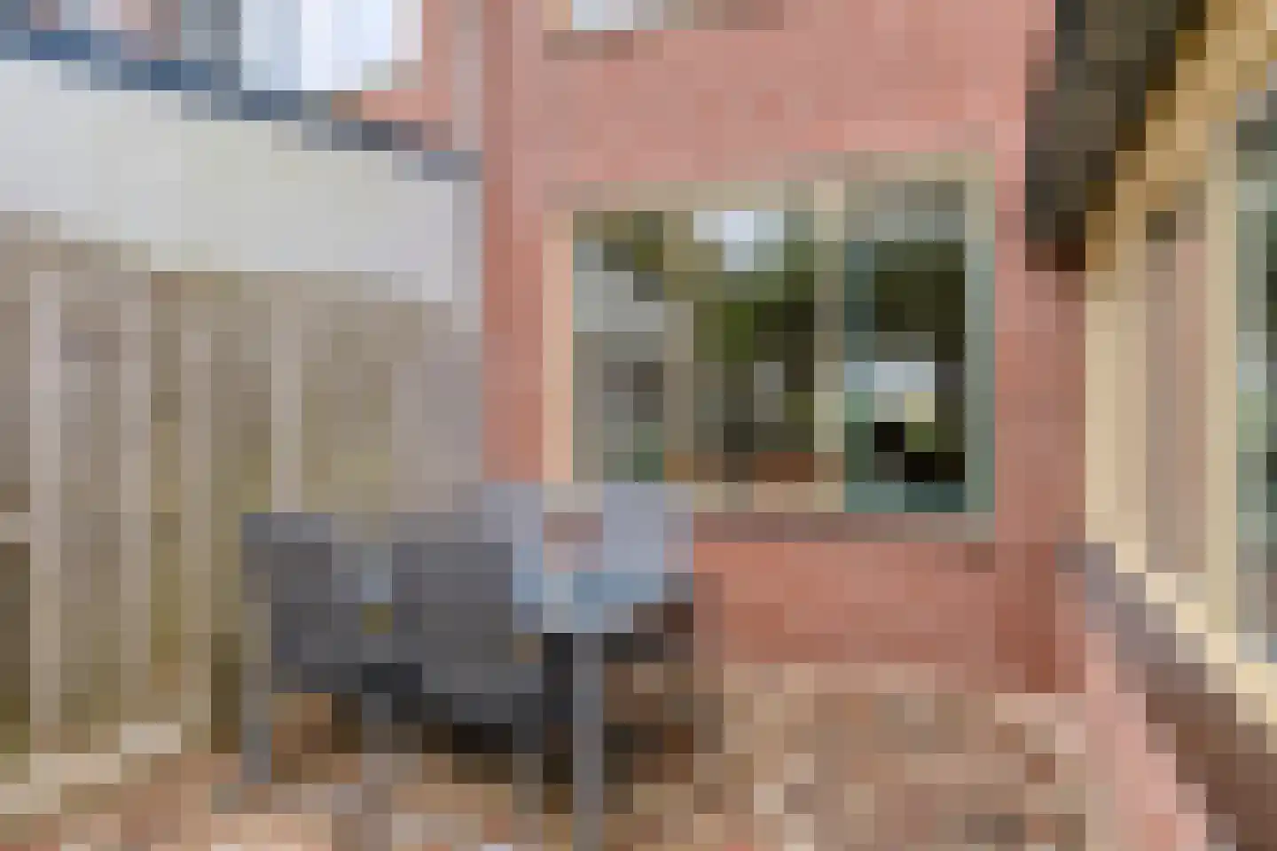 Gildebongerd 119 Zeddam thumbnail 32