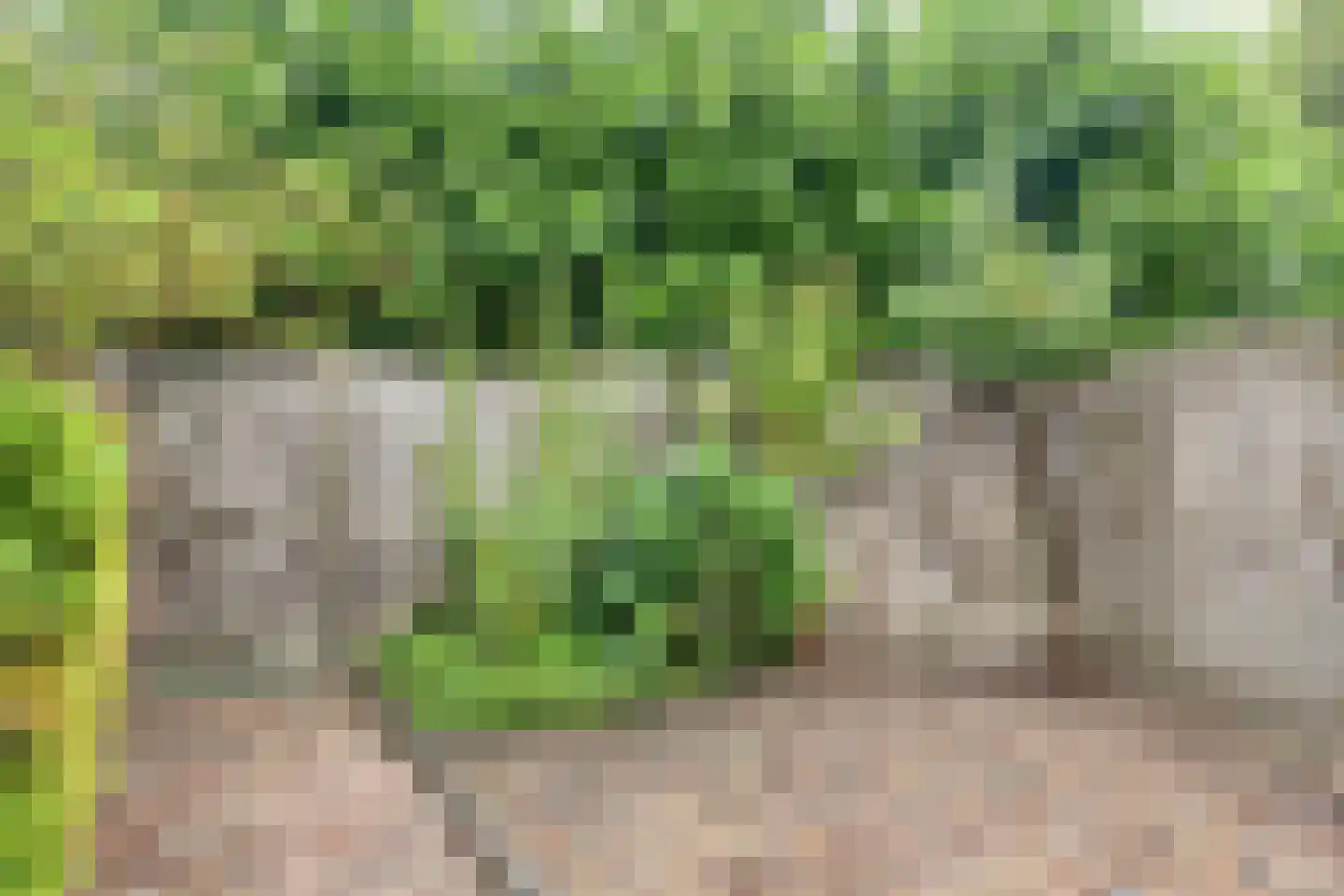 Gildebongerd 119 Zeddam thumbnail 33
