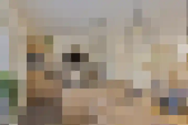 Gildebongerd 127 Zeddam thumbnail 14