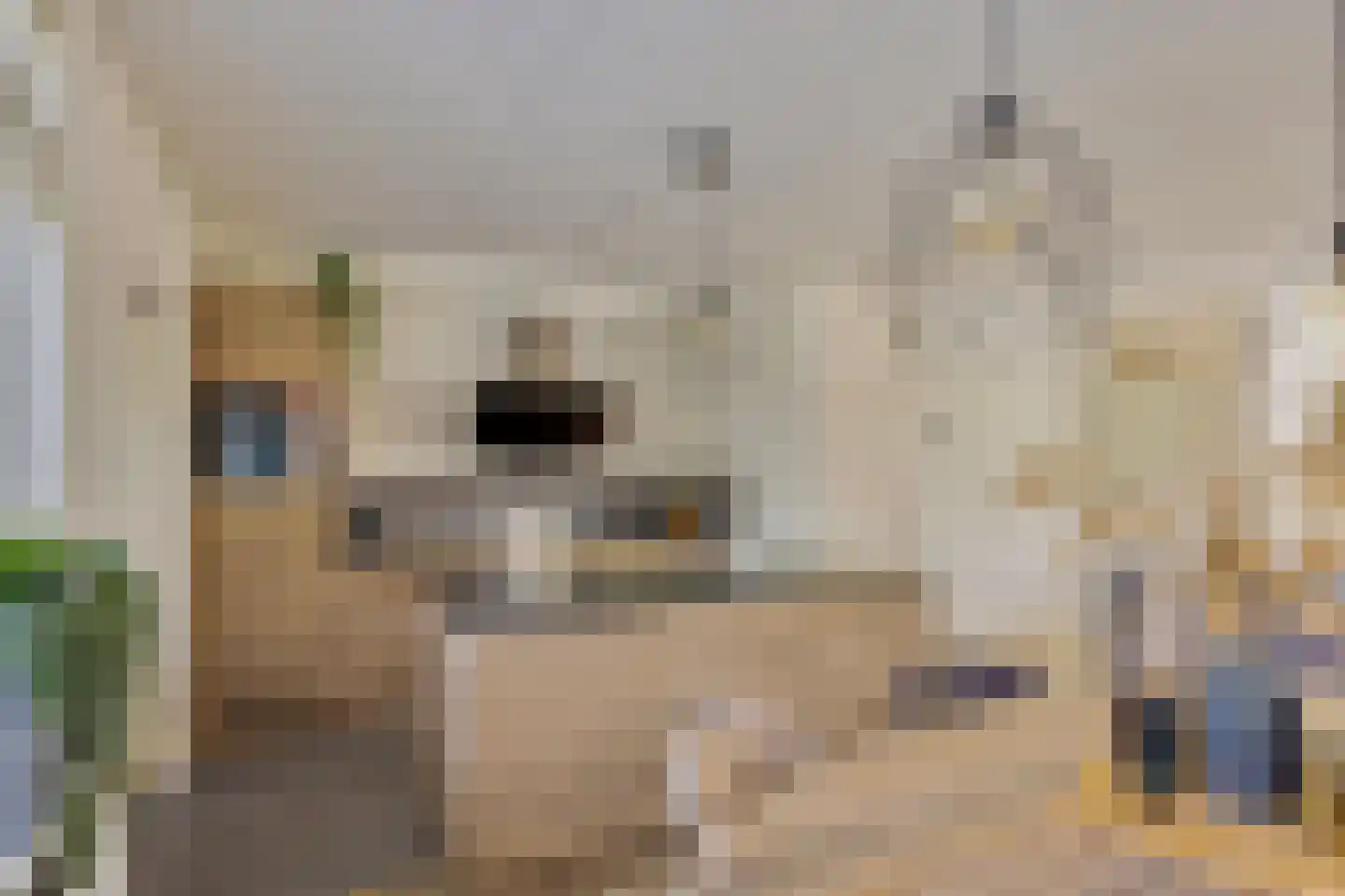 Gildebongerd 127 Zeddam thumbnail 14