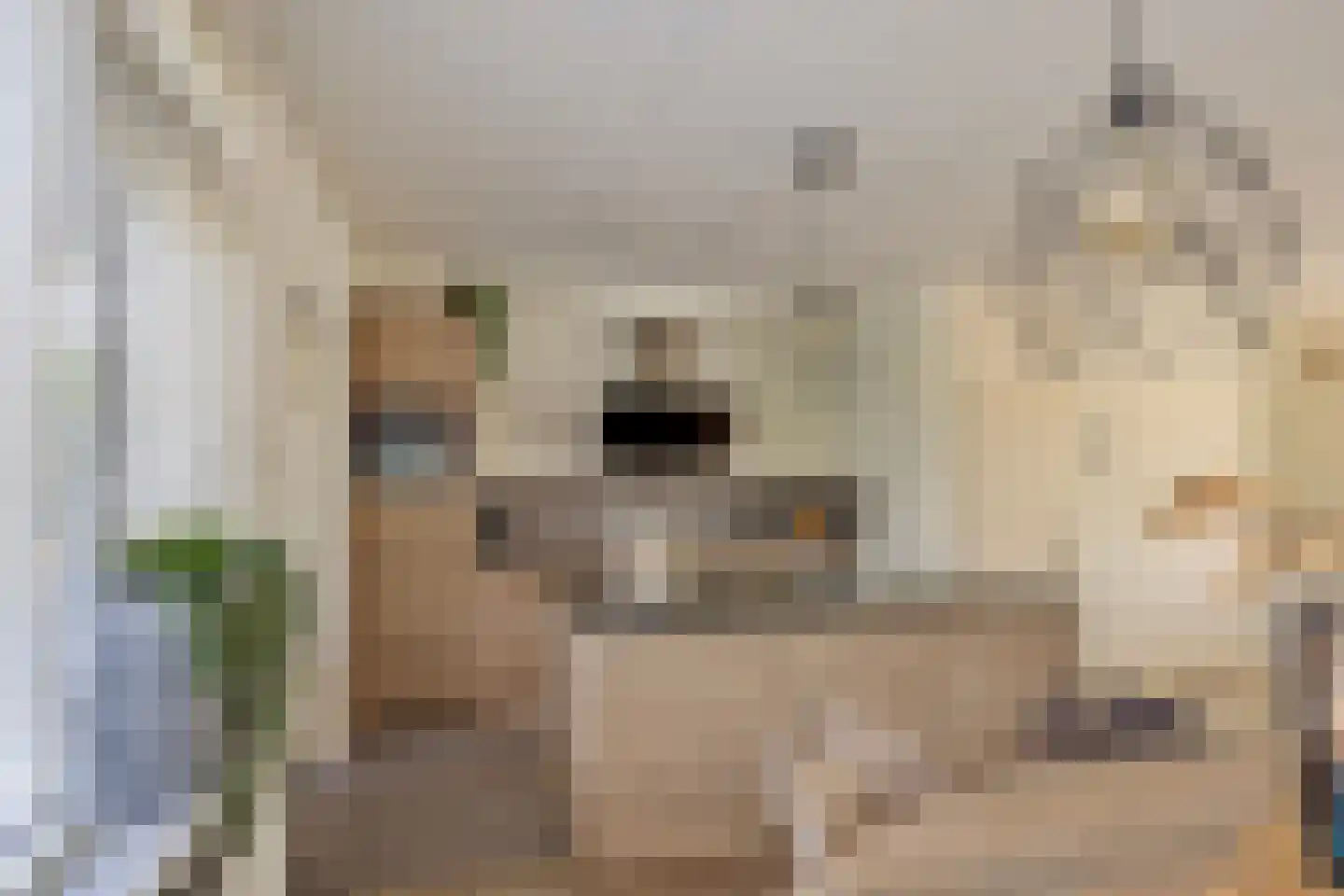 Gildebongerd 127 Zeddam thumbnail 16