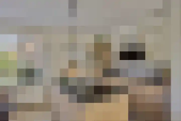 Gildebongerd 127 Zeddam thumbnail 17