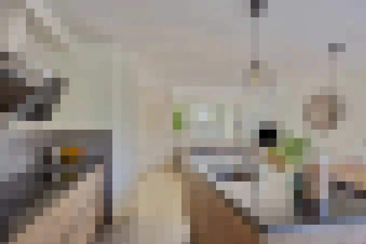 Gildebongerd 127 Zeddam thumbnail 18