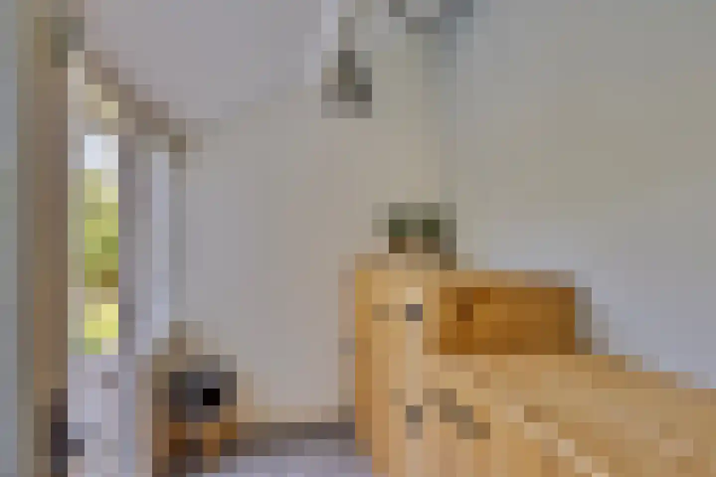 Gildebongerd 127 Zeddam thumbnail 20