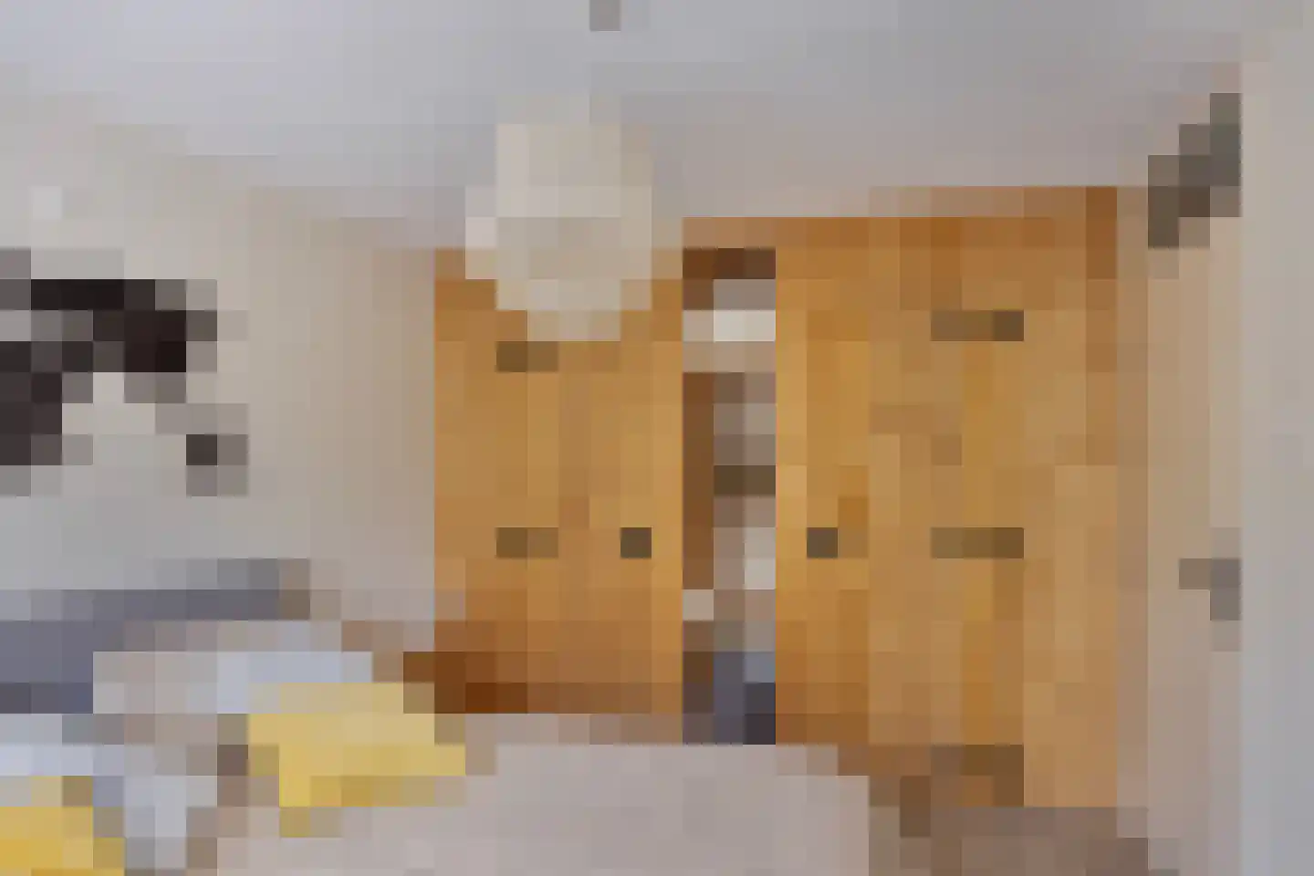 Gildebongerd 127 Zeddam thumbnail 26