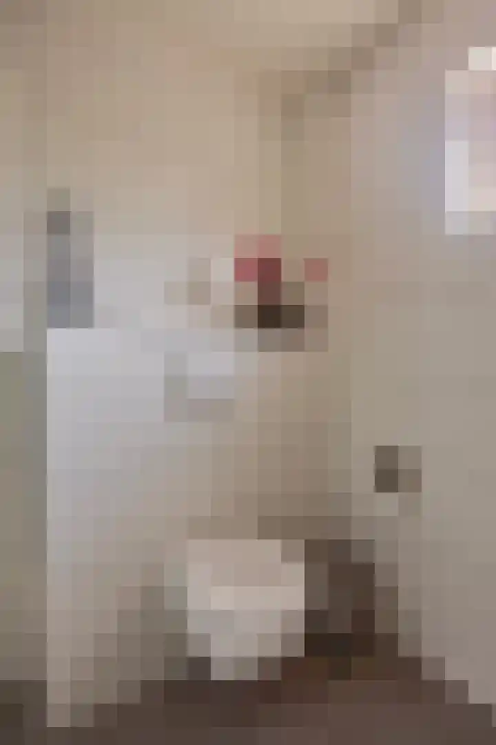 Gildebongerd 127 Zeddam thumbnail 31