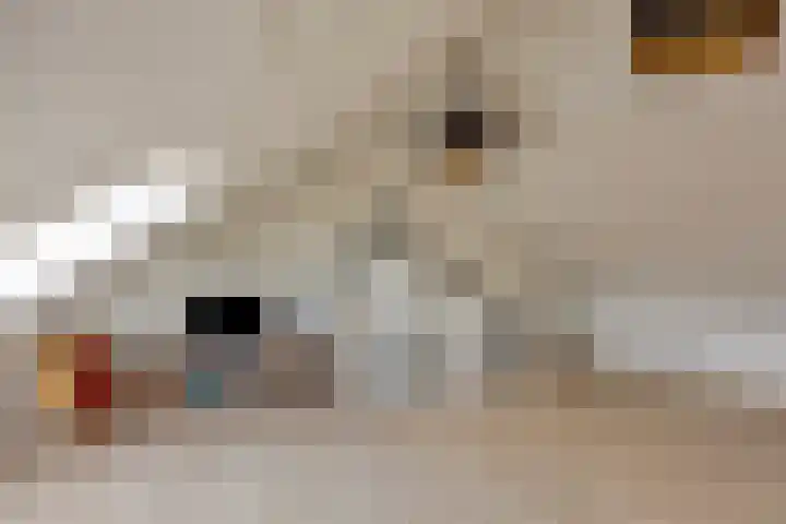 Gildebongerd 127 Zeddam thumbnail 34